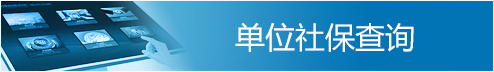 单位社保查询