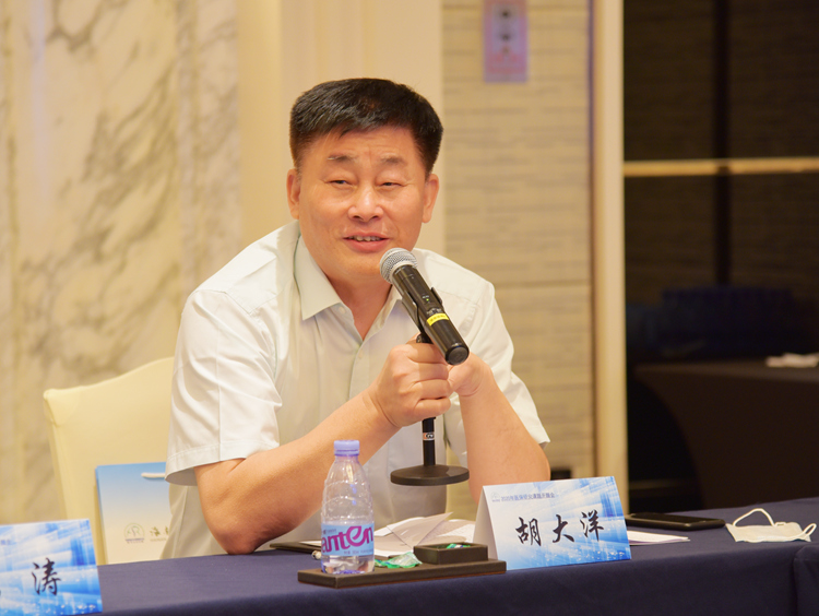 3江苏省医疗保险研究会胡大洋会长发表意见和建议.JPG