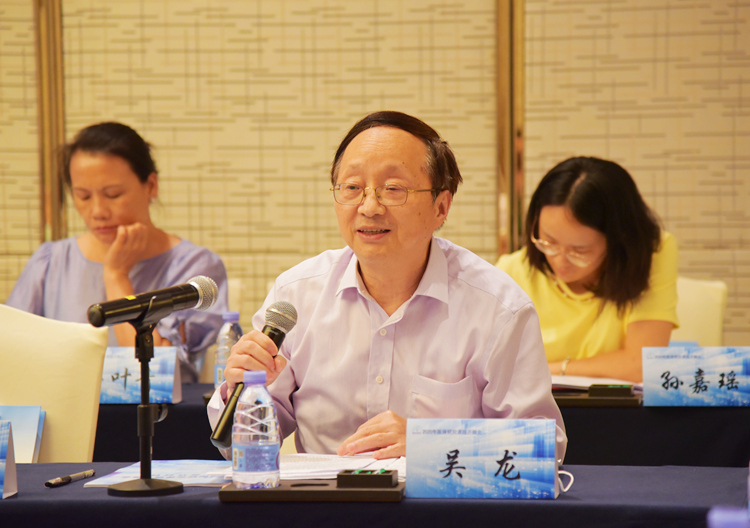 4上海医保研究会吴龙副秘书长发表意见和建议.JPG